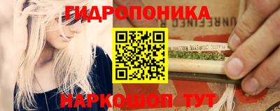 стафф Коммунар