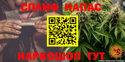 шишки Конаково