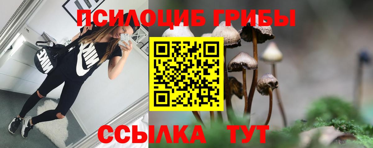 Галлюциногенные грибы GOLDEN TEACHER  Вход с VPN  Донской  Галлюциногенные грибы мухоморы 